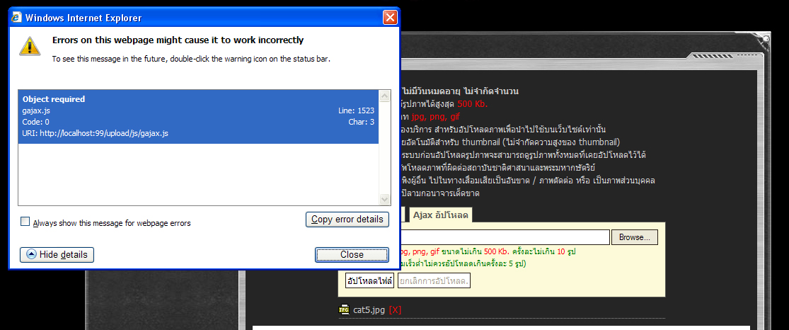ทดสอบเว็บอัพโหลดแล้วมี Error ครับ