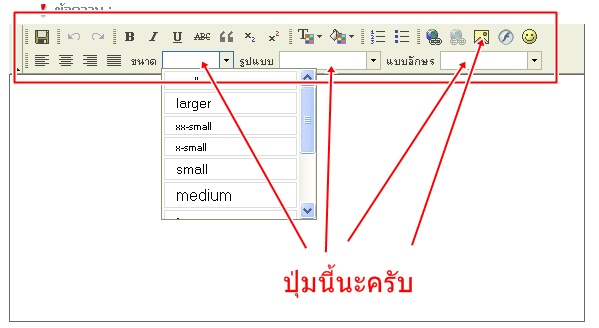 ต้องการให้ มีการกำหนดขนาดตัวอักษร